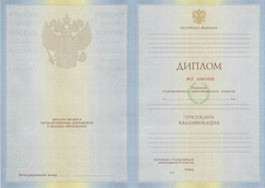 Диплом специалиста с 2010 по 2011 годы